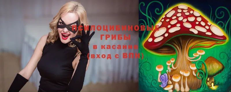 Псилоцибиновые грибы Magic Shrooms  купить наркотик  Черкесск 